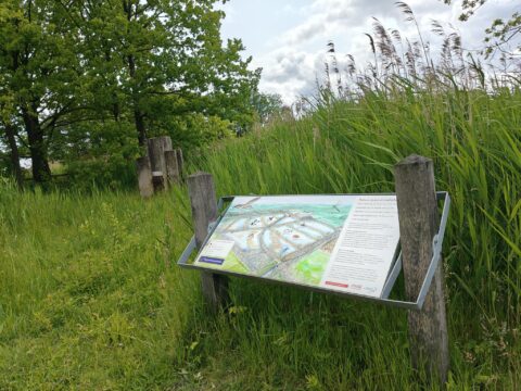 Informatiebord in natuurgebied met gras en bomen op de achtergrond.