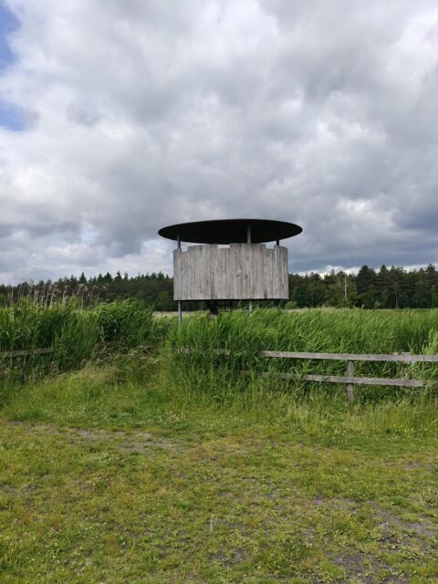 Houten vogelobservatiehut in groen veld onder bewolkte hemel.