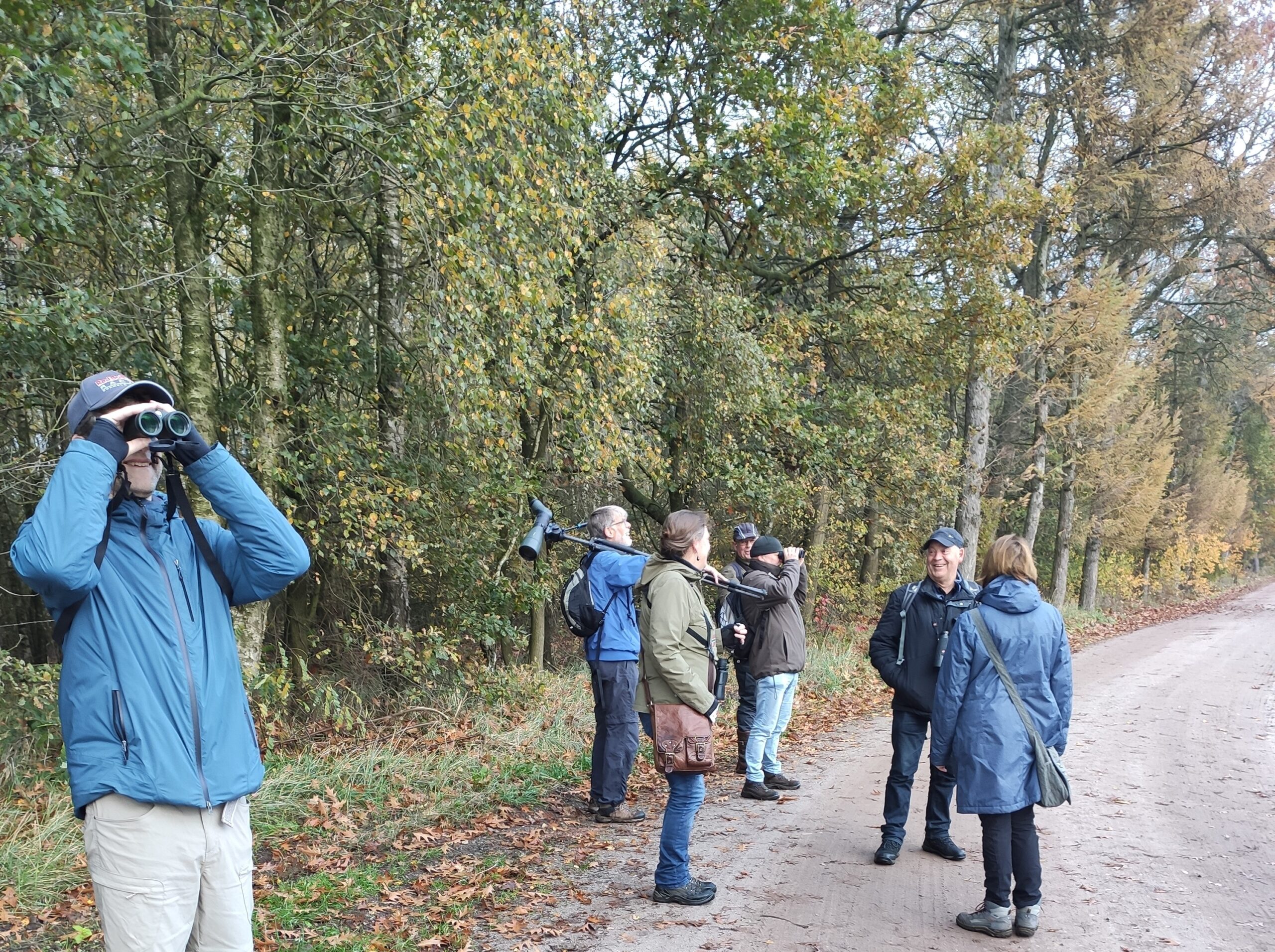 Groep mensen aan vogelkijken in een bosgebied met verrekijkers en telescopen.