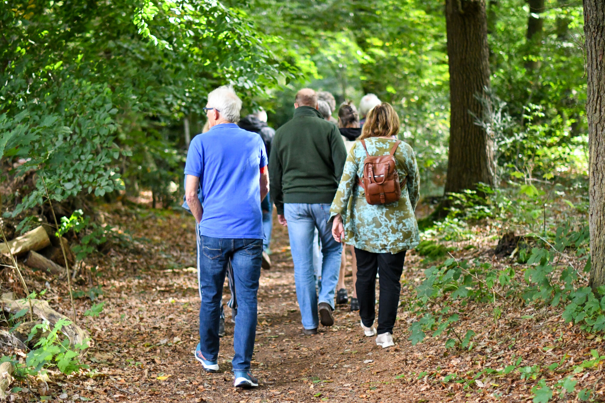 Groep mensen wandelt op een bospad, omgeven door groene bomen.