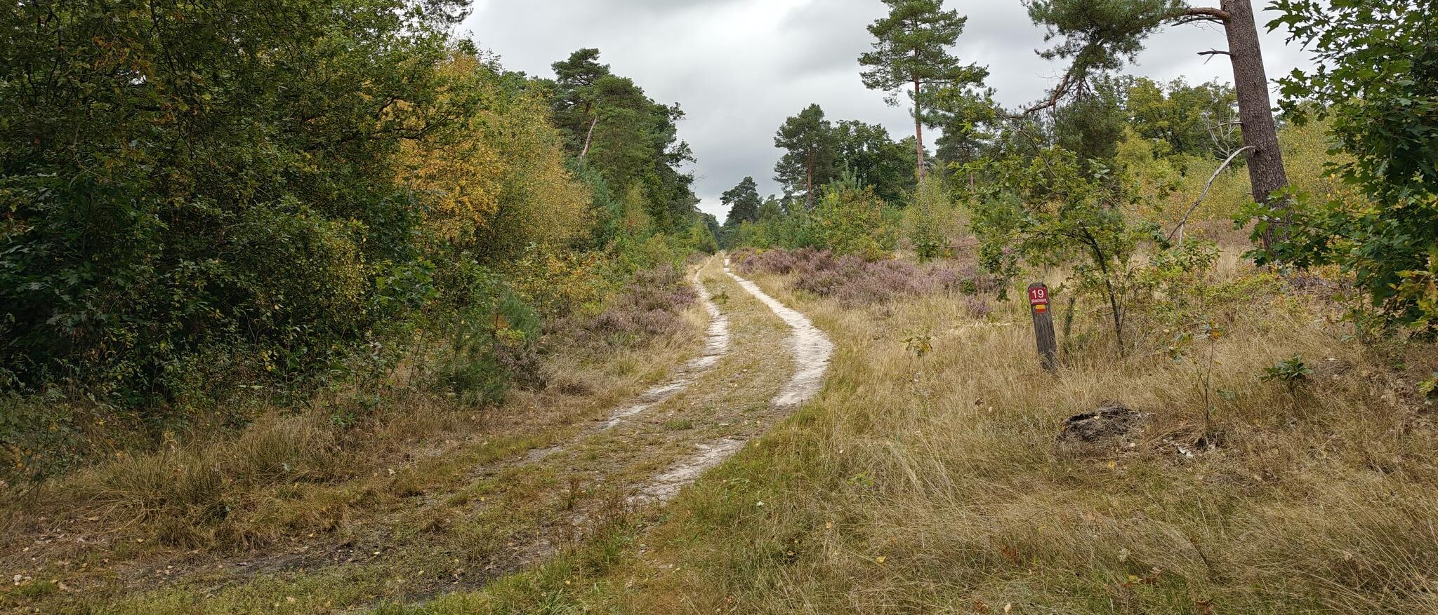 Bospad omgeven door groene en gele bomen met een wegwijzer nummer 19 rechts in beeld.