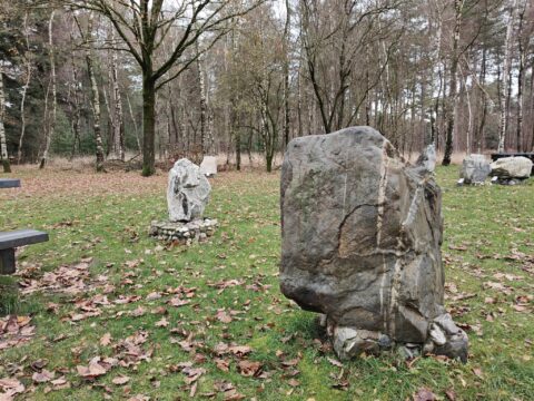 Grote stenen in een bosrijk park, omgeven door herfstbladeren en kale bomen.