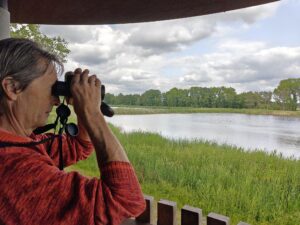 Man met verrekijker kijkt uit over een meer en rietland onder een bewolkte hemel.