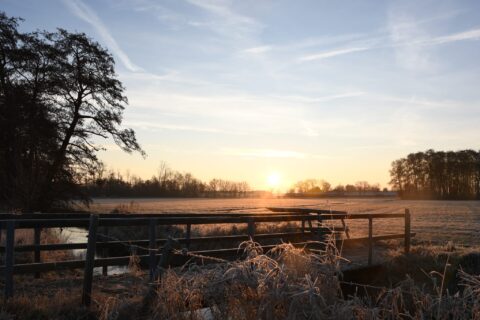 Zonsopkomst boven een bevroren veld met een houten brug en bomen langs de horizon.