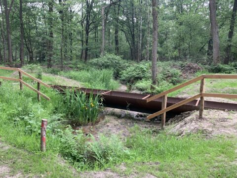Houten brug over een beekje in een bosrijk gebied met groene begroeiing.