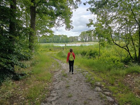 Persoon met rugzak loopt op bospad naar een poel, omringd door groene bomen.