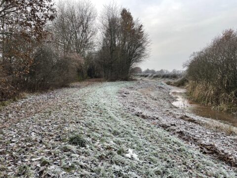 Besneeuwd bospad langs een beek, omringd door kale bomen onder een grijze winterlucht.