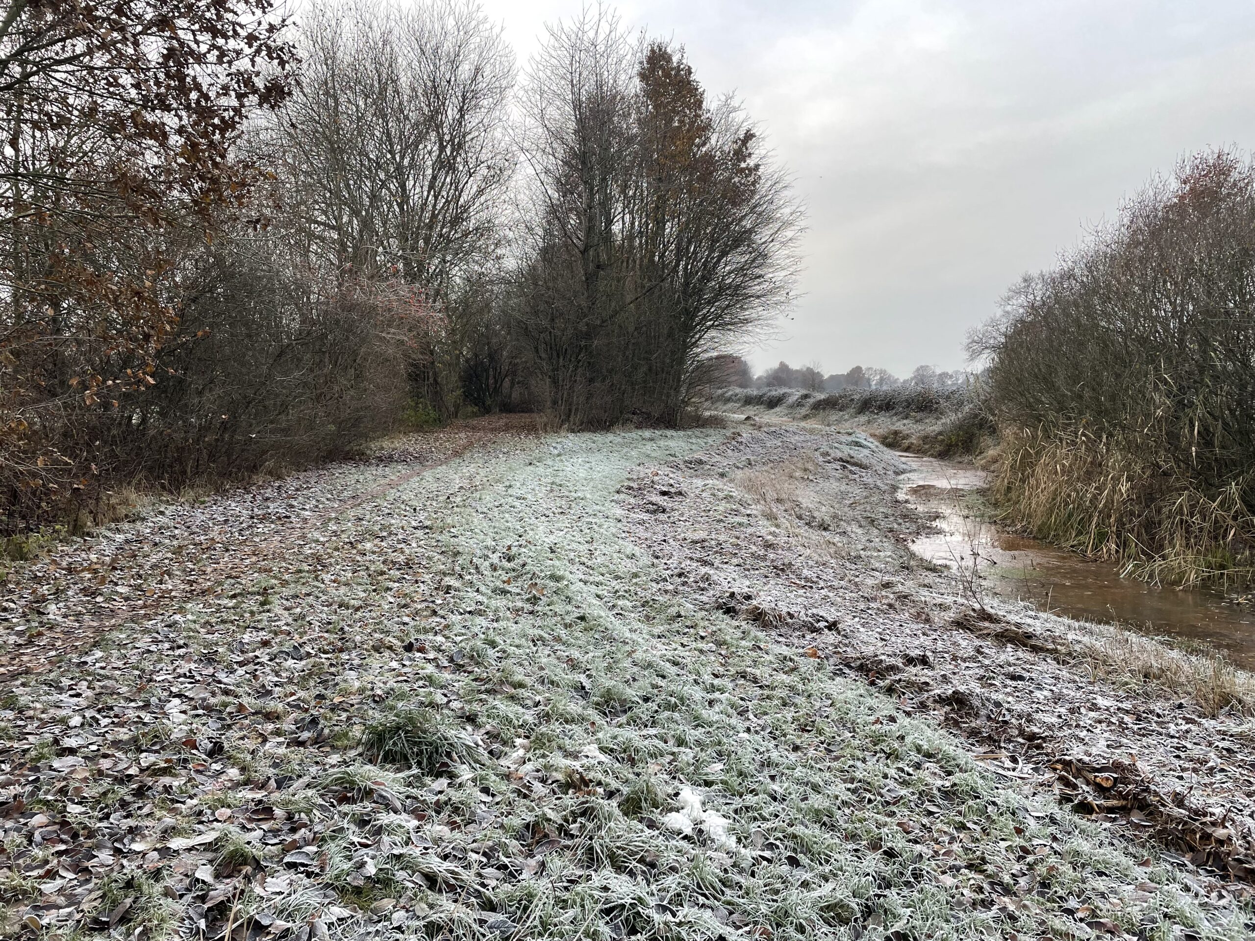 Besneeuwd bospad langs een beek, omringd door kale bomen onder een grijze winterlucht.