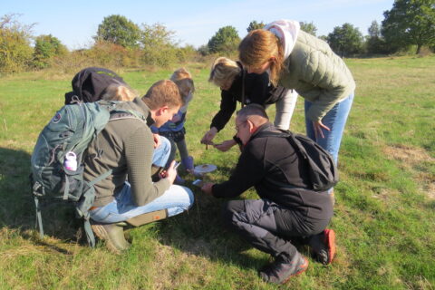 Groep mensen buigt zich over paddestoelen in een grasveld op een zonnige dag.