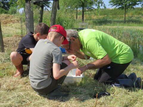 Drie mensen bestuderen items in een bakje in een grasveld bij een vijver.