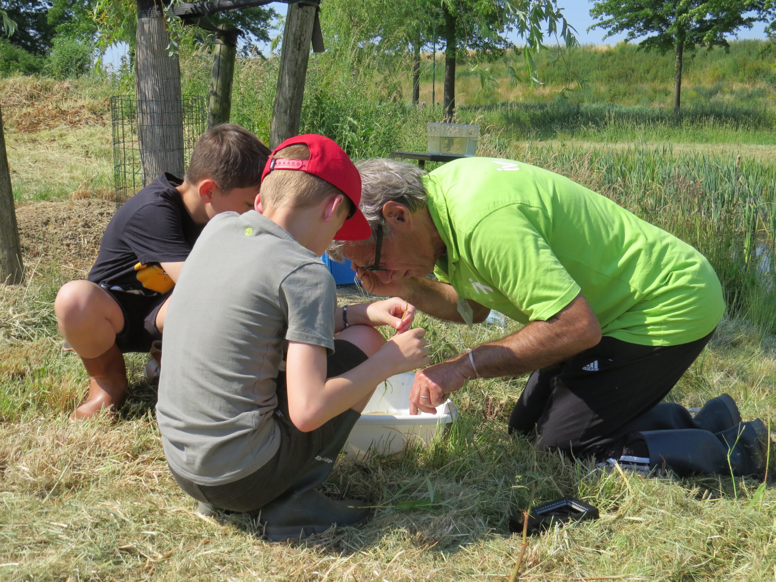 Drie mensen bestuderen items in een bakje in een grasveld bij een vijver.
