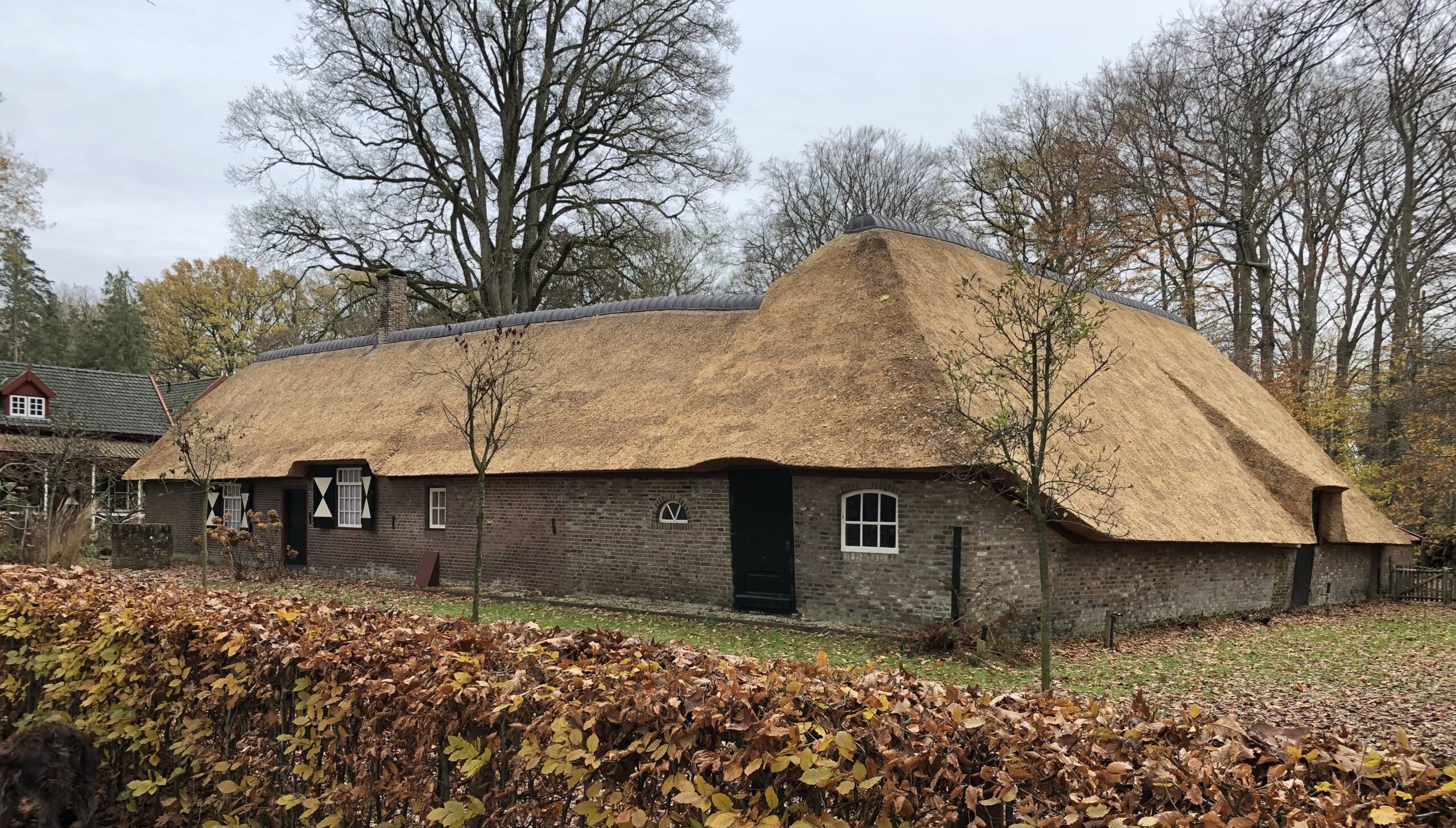 Een traditionele boerderij met rieten dak, omringd door herfstbomen en bladeren.