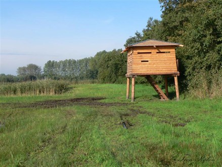 Houten uitkijkhut op palen in een groen grasveld met bos op de achtergrond.