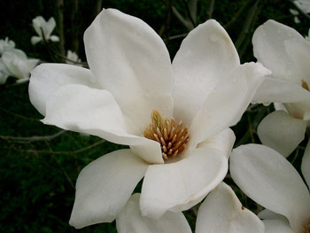 ellen hageman blogs