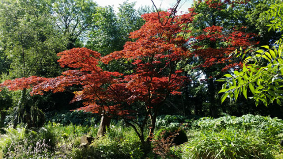 Volop kleur in Bijenpark Geuzenveld