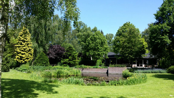 De kikkervijver in Bijenpark Geuzenveld