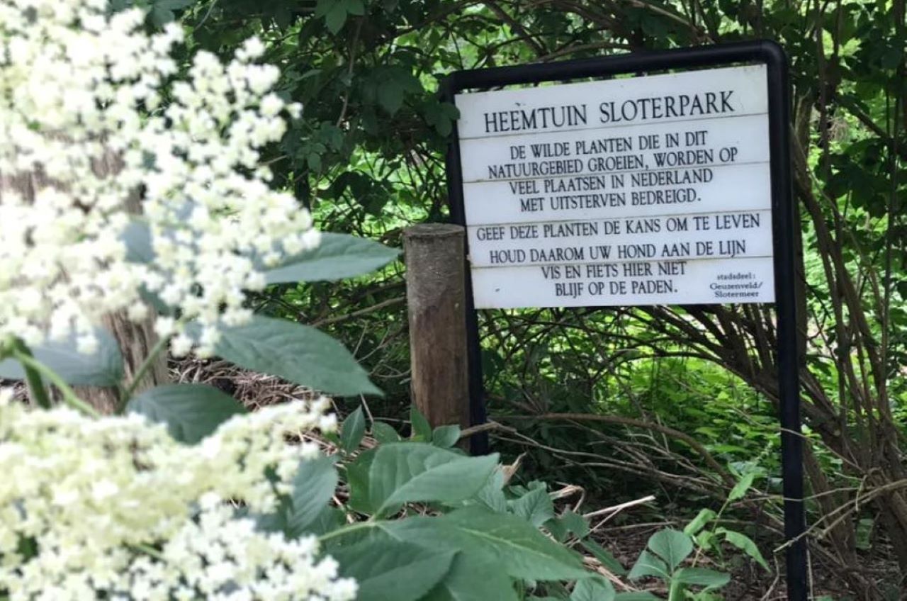 Excursie in de heemtuin en Sloterpark