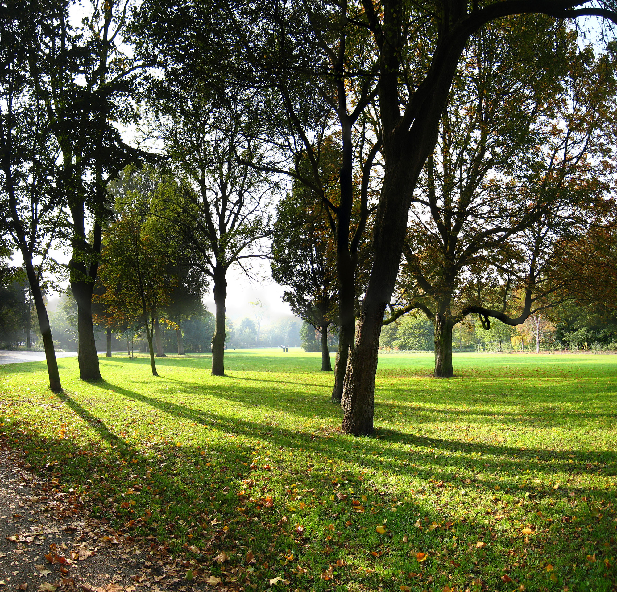 Wandelroutes om te downloaden