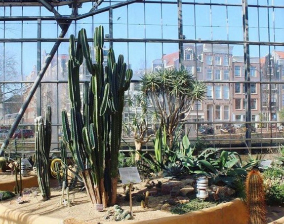 Dessert Greenhouse Hortus (c) Hortus