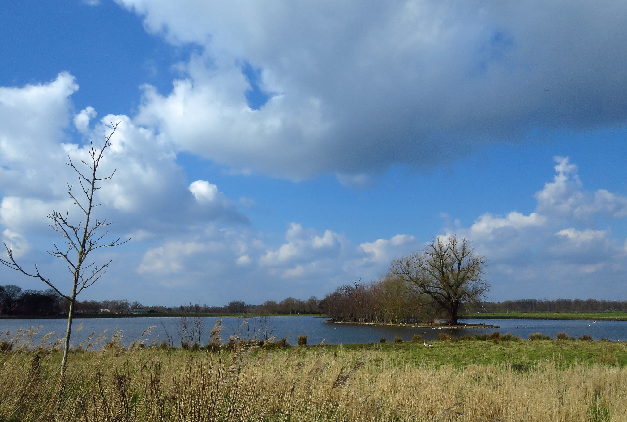 Deel je ideeën voor een wandelroute in Osdorp