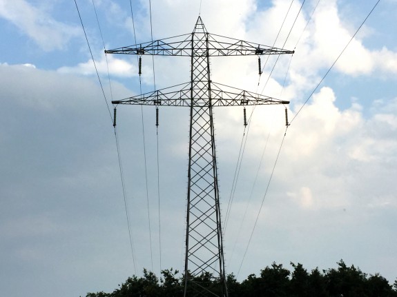 Elektriciteitsmast met nest bovenin, Marisa Stoffers