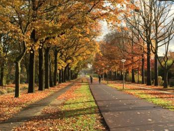 Moeraseiken, Radioweg, Watergraafsmeer, Amsterdam, Marisa Stoffers