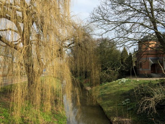 treurwilg_img_5280_klein