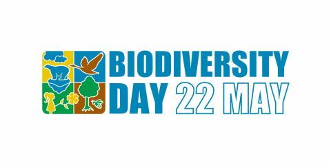 22 mei: Internationale Dag van de Biodiversiteit
