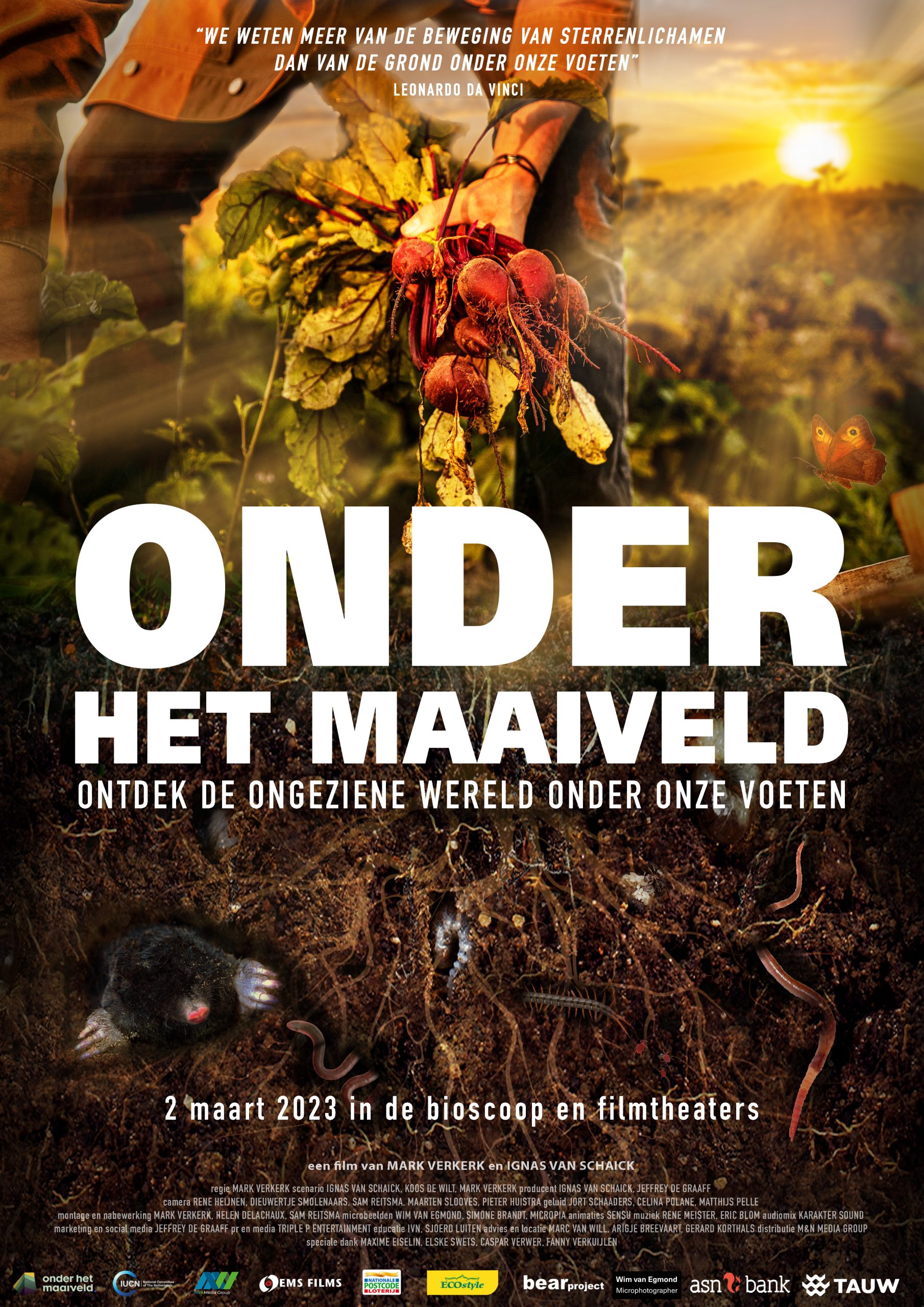 Film Onder het Maaiveld