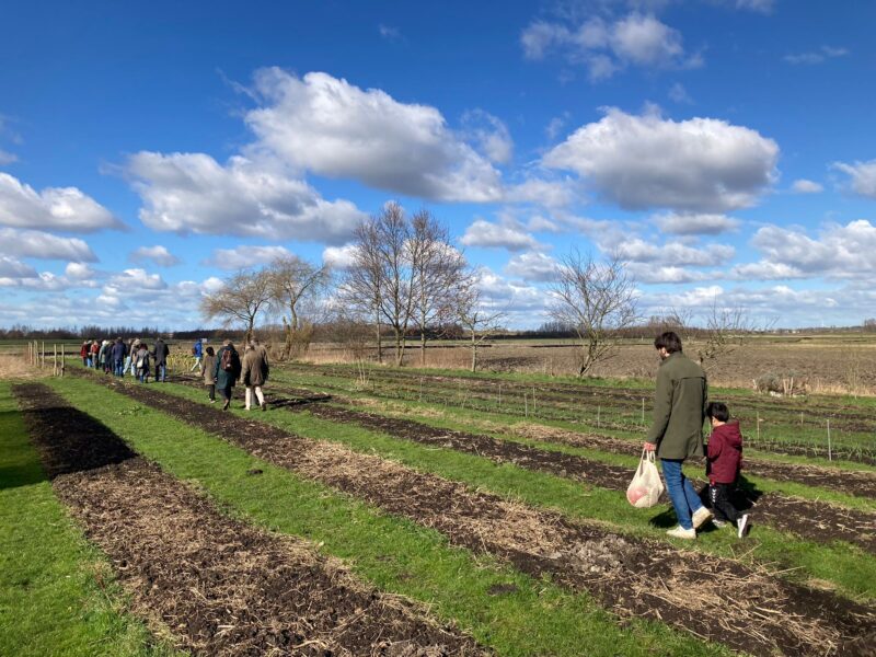 Wandeling Lutkemeerpolder