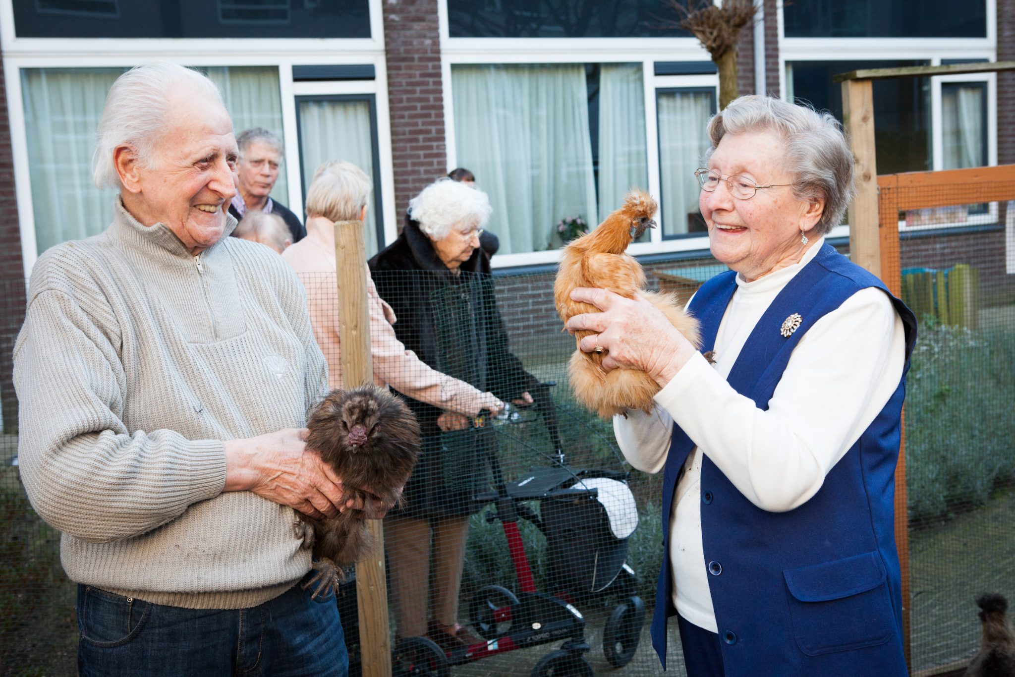 Grijs groen en gelukkig