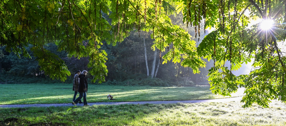 Wandelaars in het Rembrandtpark in Amsterdam