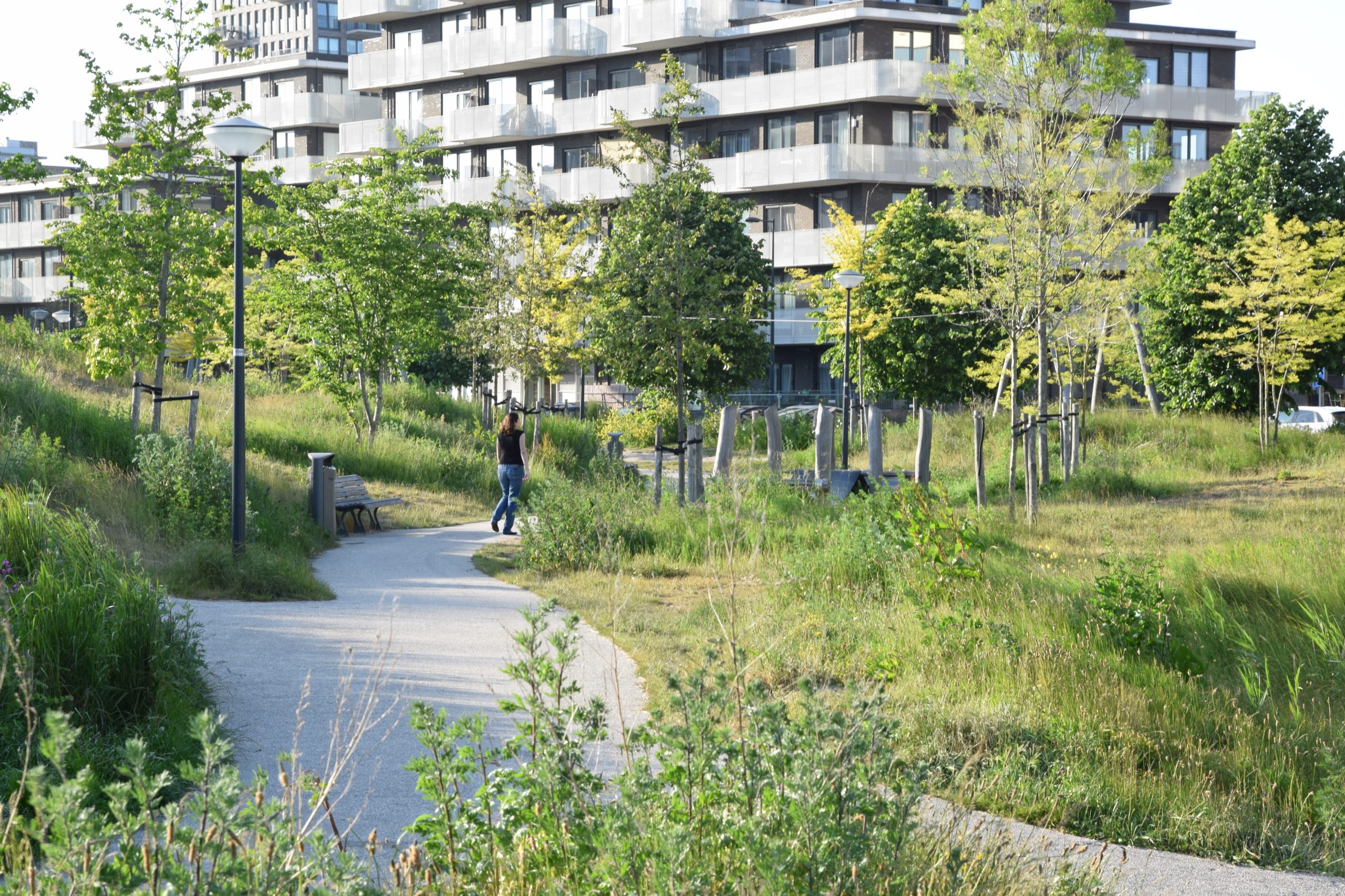 Stadspark met bomen, wandelpad, persoon en appartementen op de achtergrond.