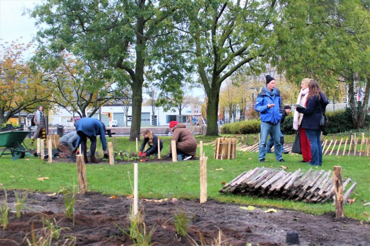 Mensen planten bomen en praten in een park met gras en bomen.