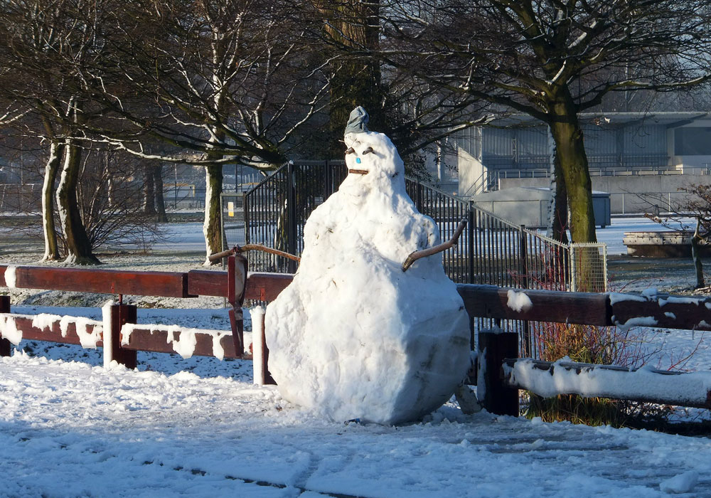 Een winter met een vreemde vogel in de wijk... de sneeuwpop - Gefladder.nl
