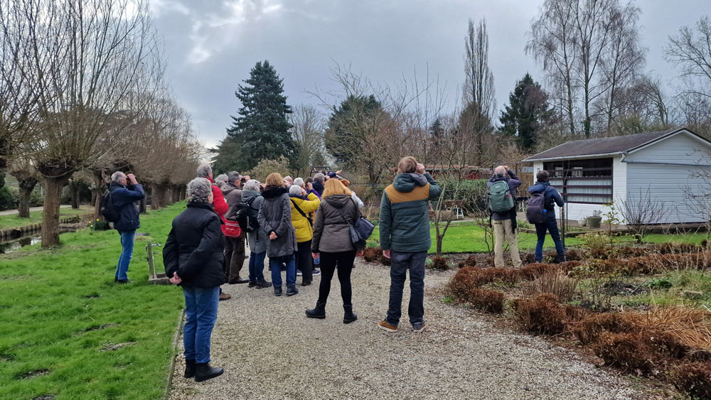 De groep had hoog in een boom een goudhaantje gevonden.