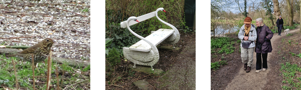 Vogelexcursie Park Frankendael