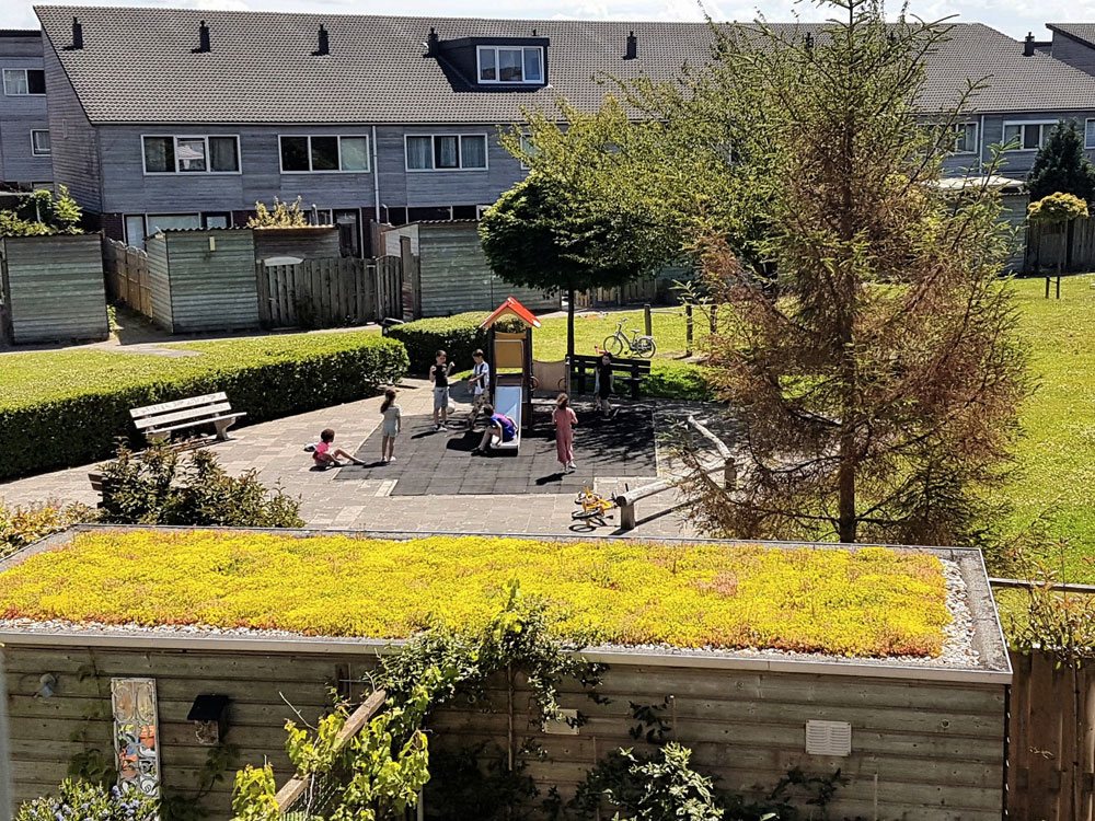 Groen dak in de stad