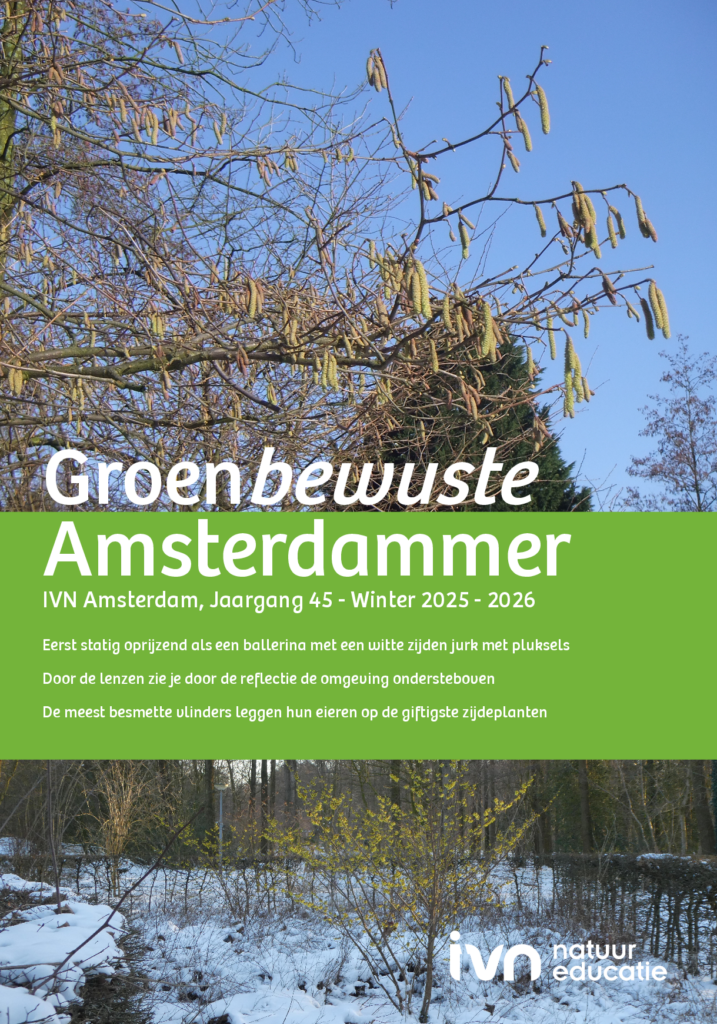 groen-bewuste-amsterdammer-winter-2025-2026