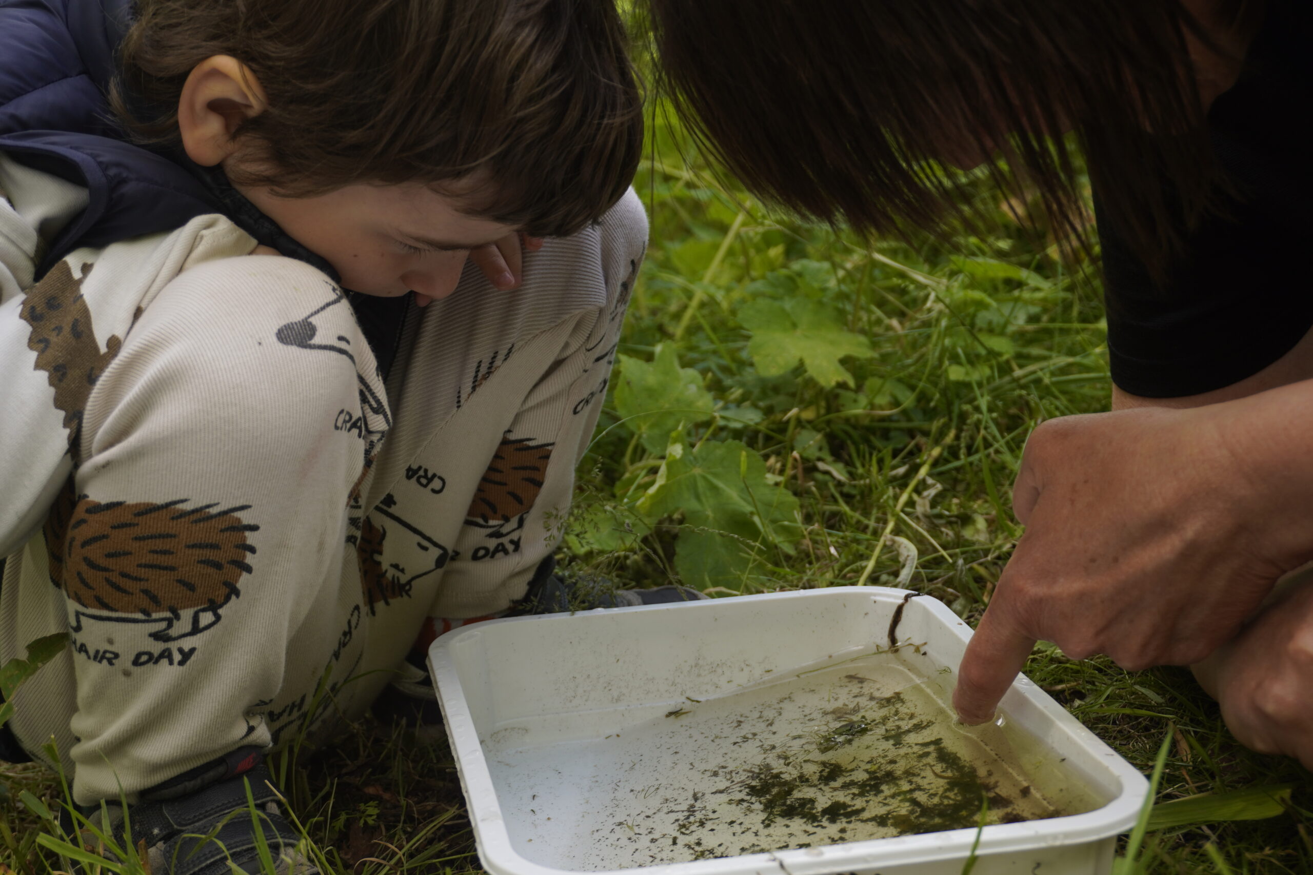 Kind en volwassene onderzoeken waterbak met algen in gras.