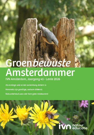 Groene specht op boomstronk, bloemen op voorgrond. Tekst: "Groen bewuste Amsterdammer".
