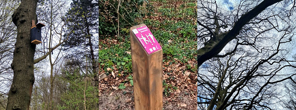 Paaltje van Kie-fit route met daarop een plaatje met lichaamsoefening