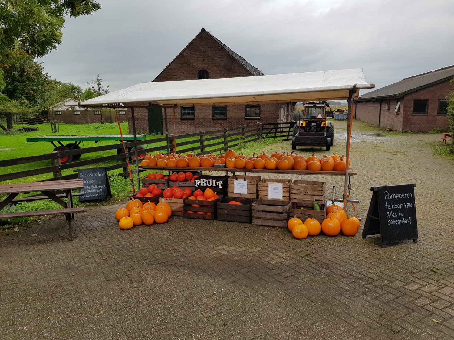 Promotie Pompoenen uit het Groene Hart bij Bezoekerscentrum De Veenweiden