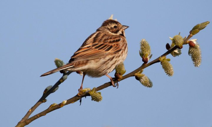 IVN Nieuwkoop nu ook actief in Ter Aar!