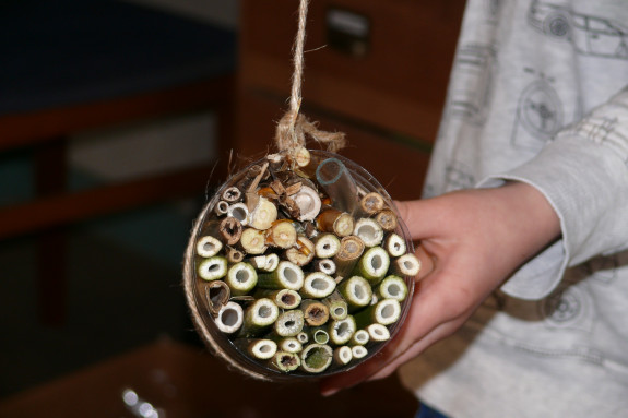 insectrenhotel in fles