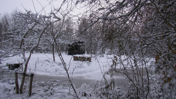 Stal in de sneeuw