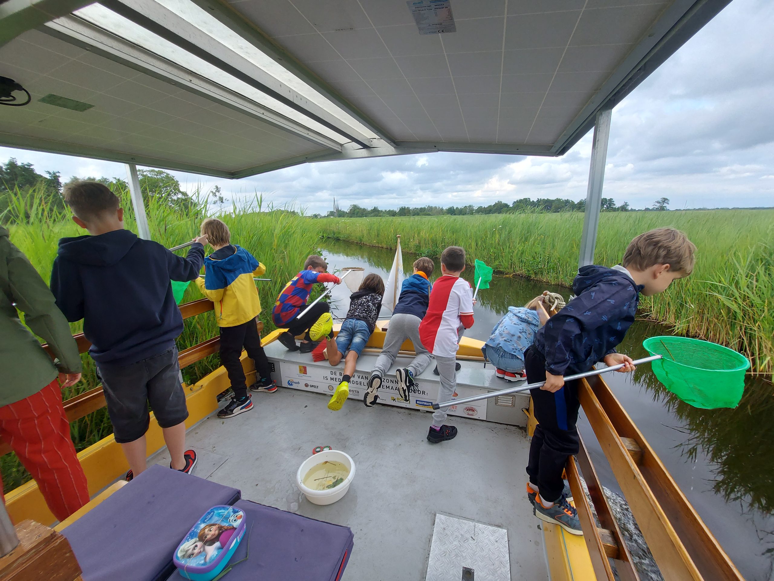 Kinderen op een boot vangen waterdieren met groene schepnetten in een rietrijke omgeving.