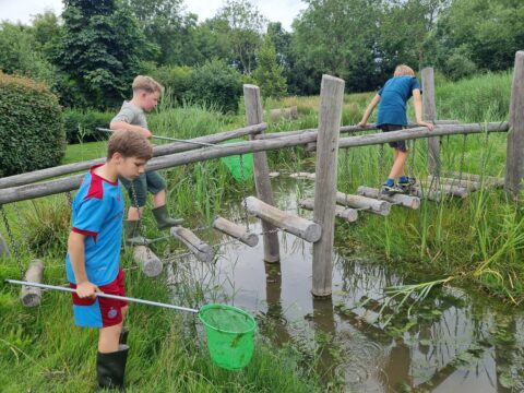 Drie kinderen vangen waterdieren met netten bij een houten brug over een vijver in een groene omgeving.