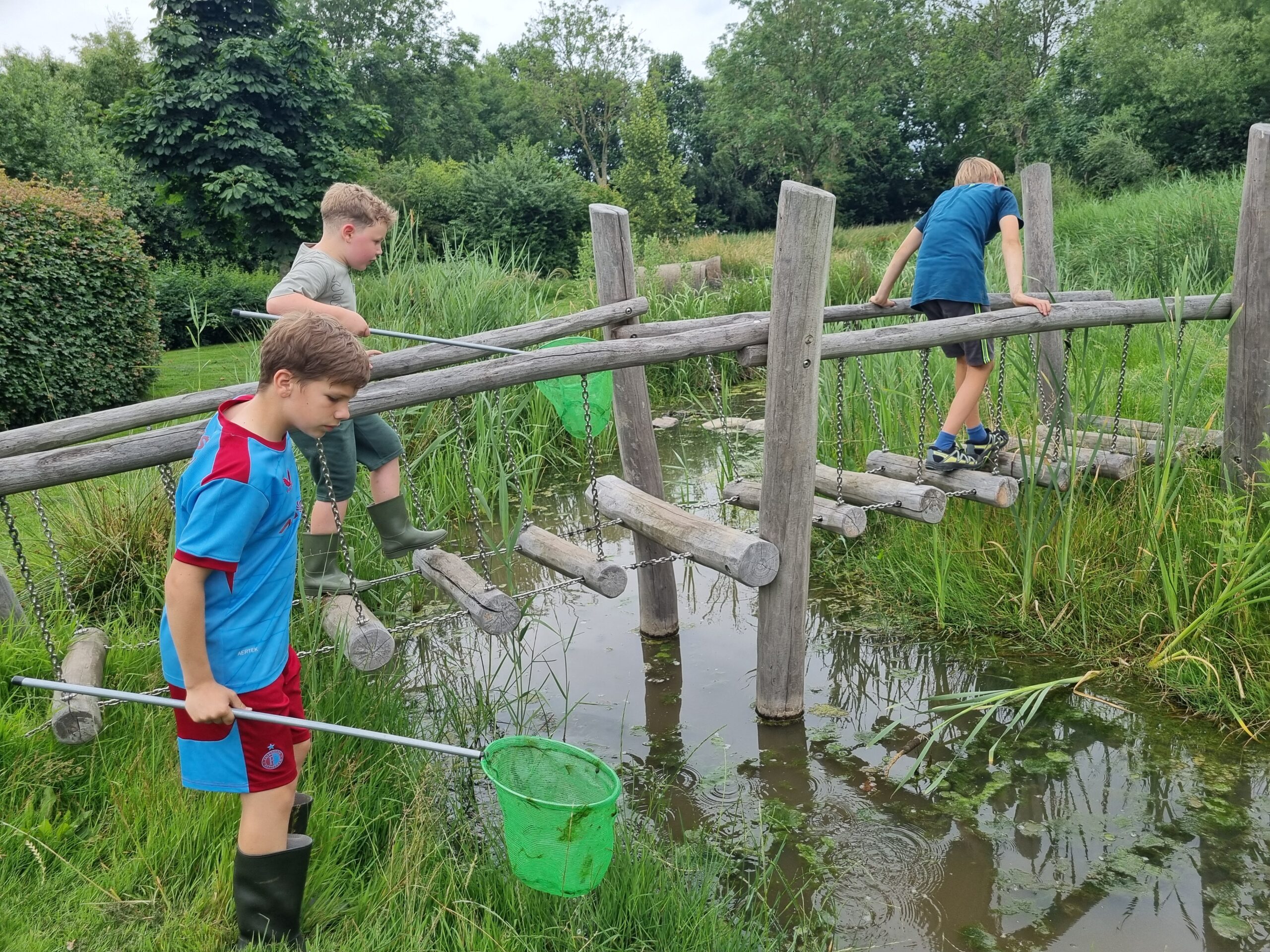 Drie kinderen vangen waterdieren met netten bij een houten brug over een vijver in een groene omgeving.