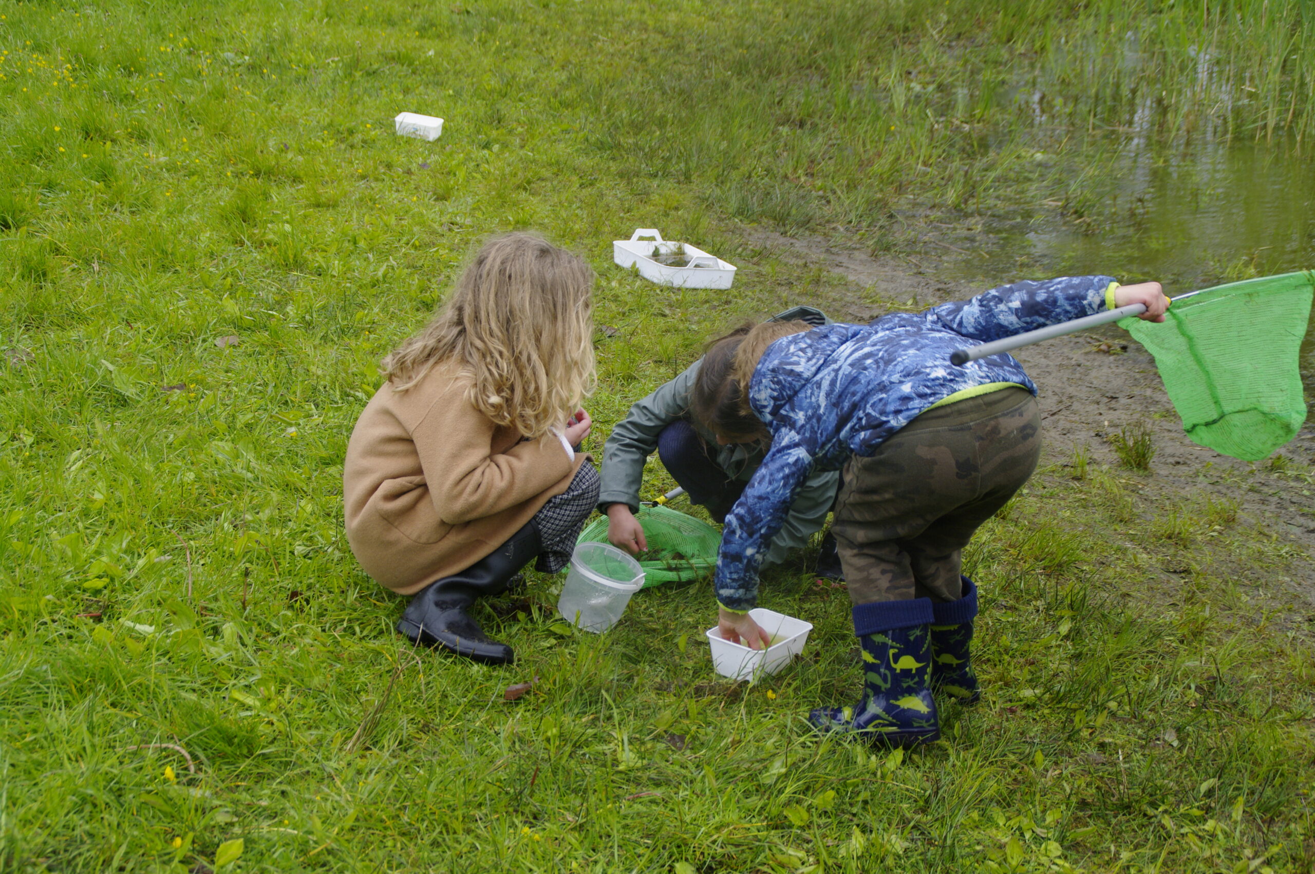 Kinderen zoeken naar dieren in een grasveld met vangnetten en bakjes.